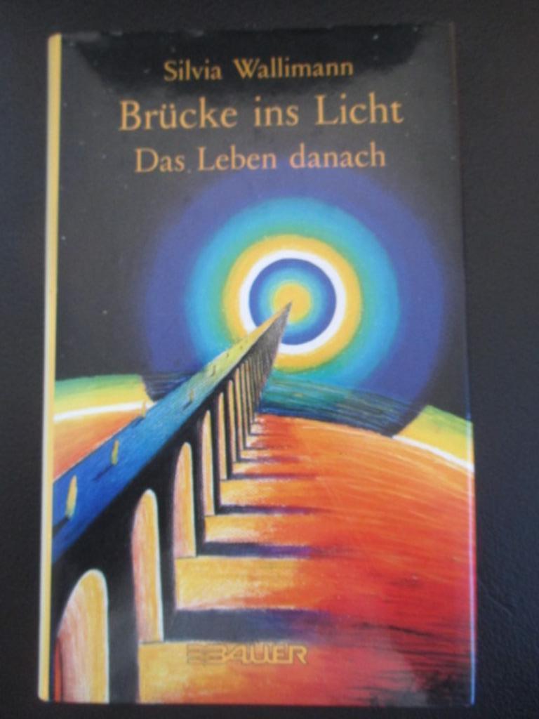 Brücke ins Licht, Boeken, Esoterie en Spiritualiteit, Achtergrond en Informatie, Ziel of Sterfelijkheid, Ophalen of Verzenden