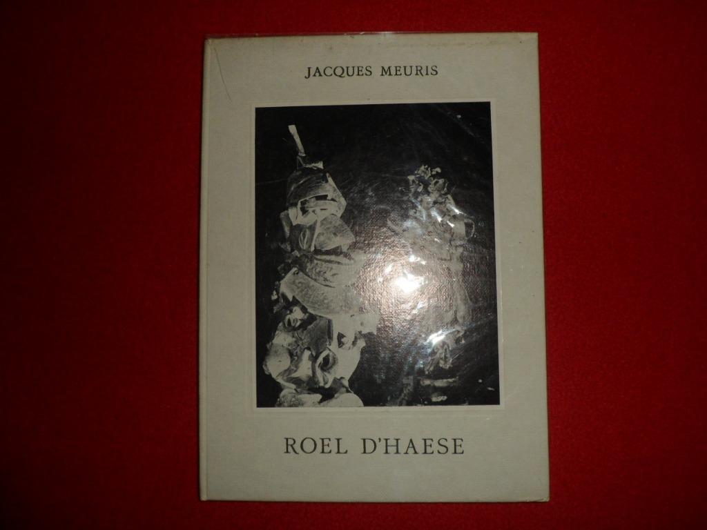 Jacques Meuris: Roel D'Haese, Gelezen, Jacques Meuris, Beeldhouwkunst, Ophalen of Verzenden