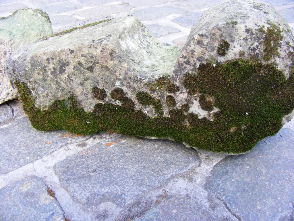 Oude bouwmaterialen in witte zandsteen, Ophalen