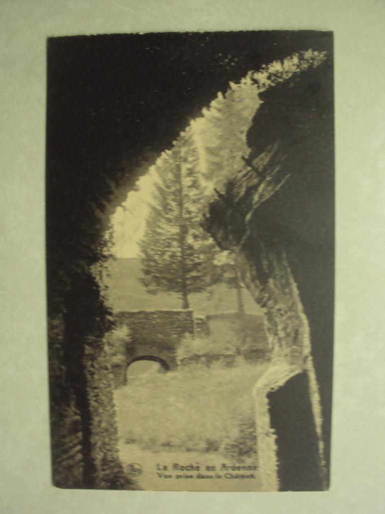 53391 - LA ROCHE EN ARDENNE - VUE PRISE DANS LE CHATEAU, Envoi