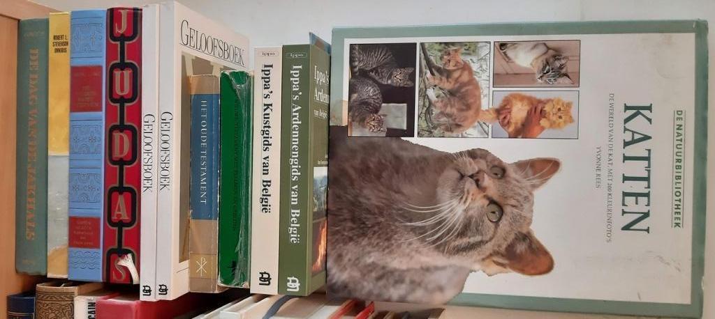 GRATIS Verzameling boeken, Boeken, Ophalen, Gelezen