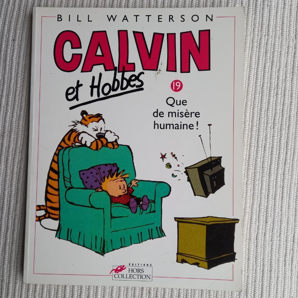 CALVIN ET HOBBES T19, Livres, Enlèvement ou Envoi