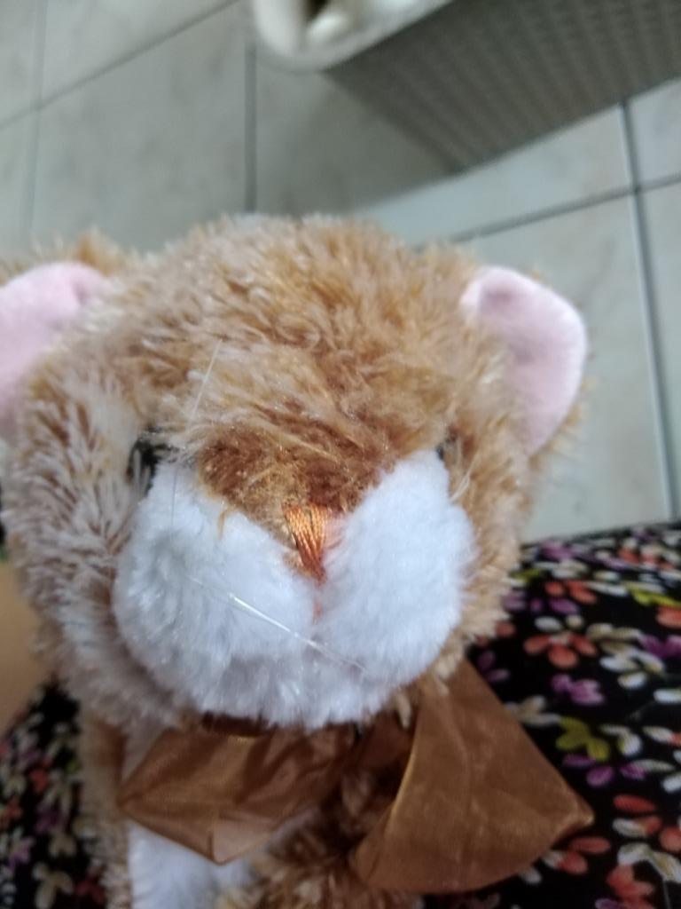 knuffel daffi bruine kat (doos pam), Ophalen of Verzenden, Nieuw