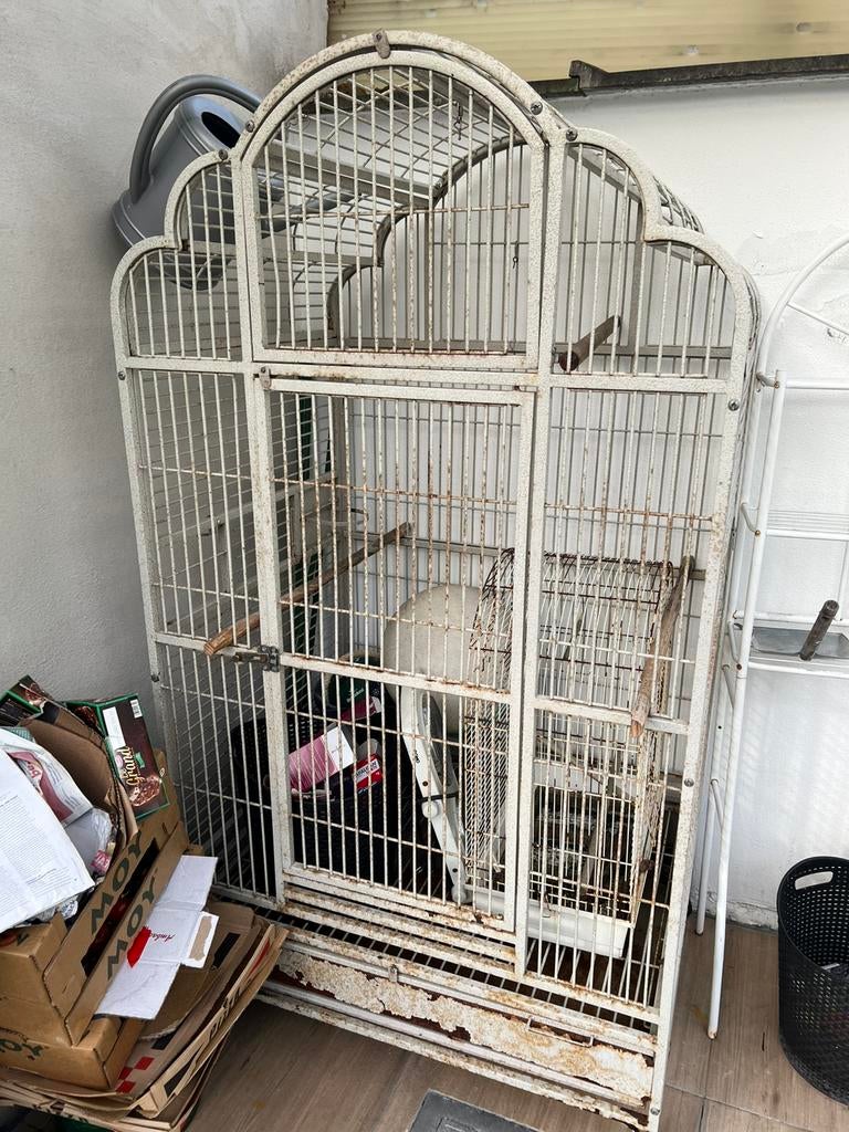 Een papegaaikooi mee werk aan!!!, Dieren en Toebehoren, Ophalen, Gebruikt, Metaal, Vogelkooi