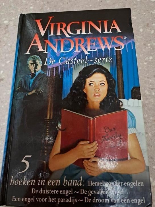 Virginia Andrews - De Casteel-serie omnibus, Boeken, Thrillers, Ophalen of Verzenden
