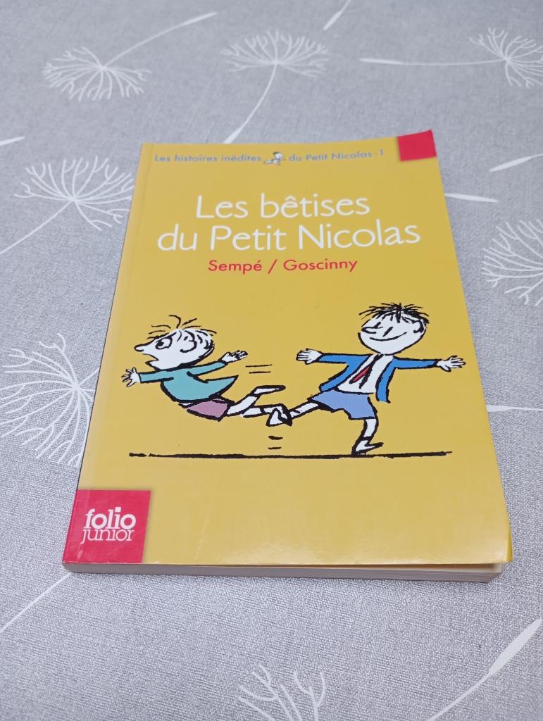 Livre Les bêtises du Petit Nicolas, Livres, Enlèvement ou Envoi