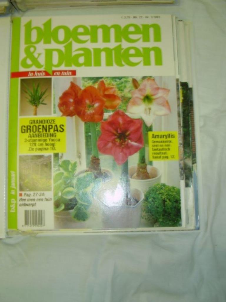 Plantez des bulbes pour l'été ! voir B & P, Livres, Nature, Neuf, Enlèvement