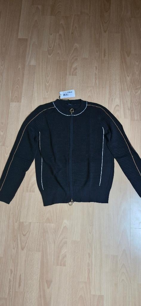 Cardigan Caroline Biss, Vêtements | Femmes, Pulls & Gilets, Neuf, Taille 38/40 (M), Enlèvement ou Envoi, Bleu