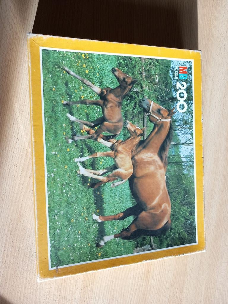 Puzzle 200pces, Enlèvement ou Envoi, Utilisé, Puzzle
