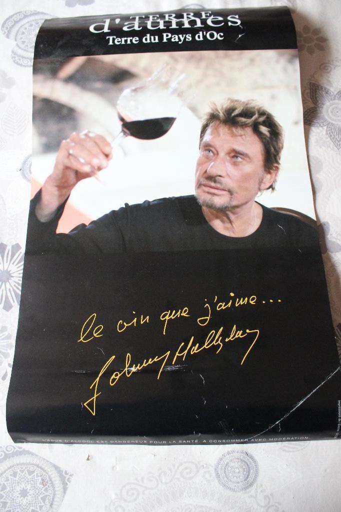 JOHNNY HALLYDAY AFFICHE ORIGINALE 33 X 49 cm TERRE D'AUMES, Publicité, Rectangulaire vertical, Enlèvement, Utilisé