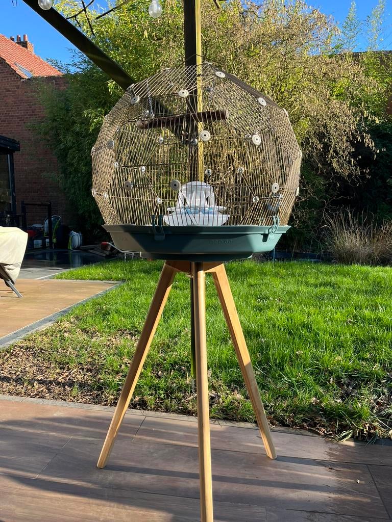 Cage Omlet oiseaux, Enlèvement, Neuf, Cage à oiseaux