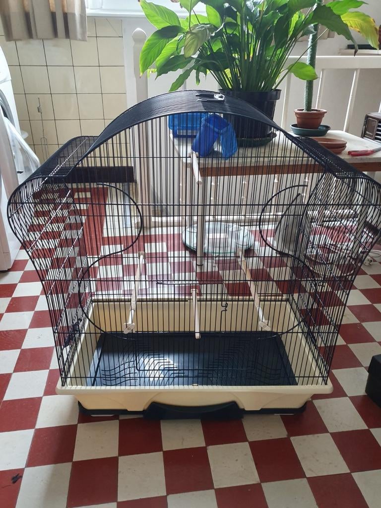 Vogelkooi, Ophalen of Verzenden, Zo goed als nieuw, Vogelkooi