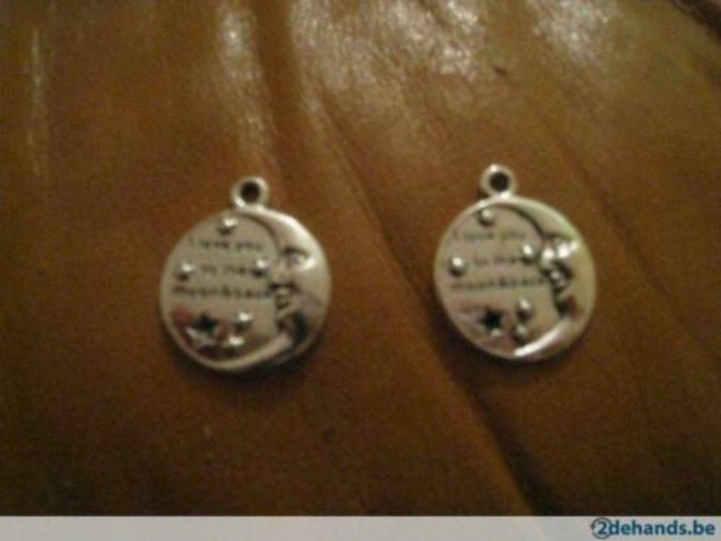 Hangertje " love you to the moon and back " / liefde / BFF, Ophalen of Verzenden, Nieuw, Zilver, Overige voorstellingen