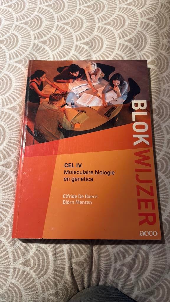 Elfride De Baere - Cel IV, Enlèvement ou Envoi, Elfride De Baere; Björn Menten