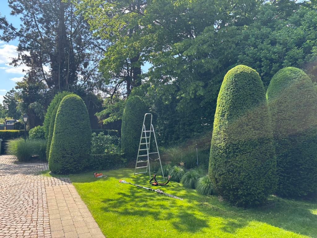 Tuinman beschikbaar, Tuinonderhoud of Snoeiwerk
