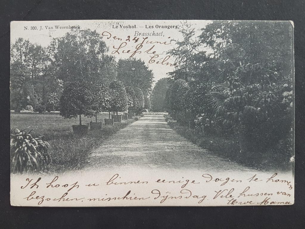 Postkaart Brasschaat Brasschaet Le Voshol Les Orangers 1905, Verzamelen, Postkaarten | België, Ophalen of Verzenden, Voor 1920