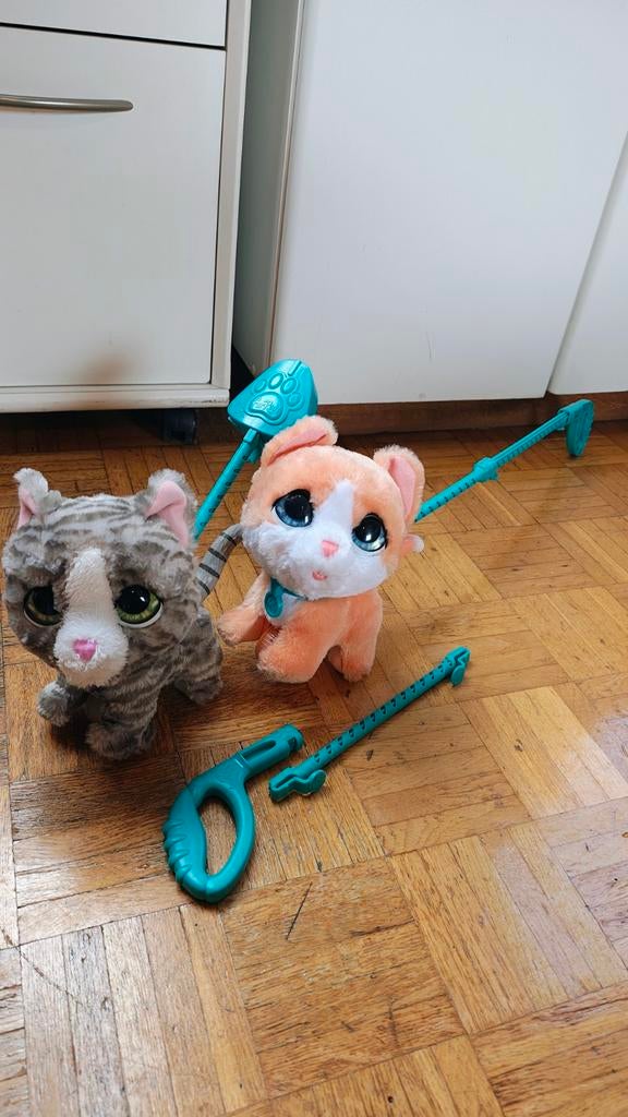 2 X Furreal poesjes, Enlèvement, Utilisé