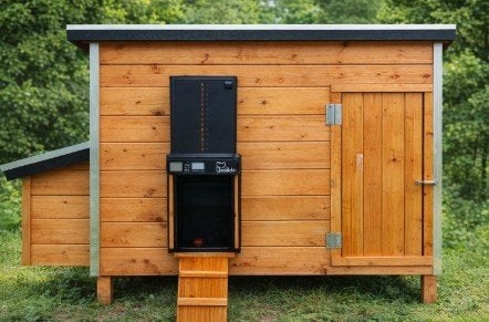 Porte de poulailler automatique avec minuterie, Enlèvement