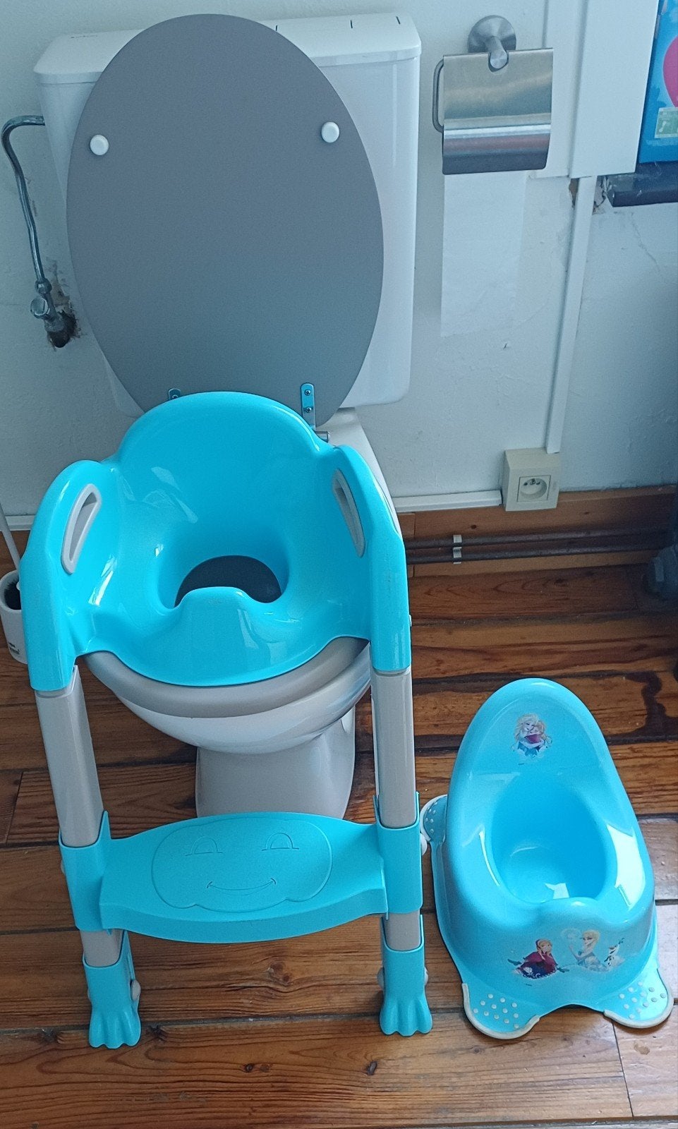 Petit pot et chaise toilette, Enfants & Bébés, Enlèvement ou Envoi, Utilisé, Autres types