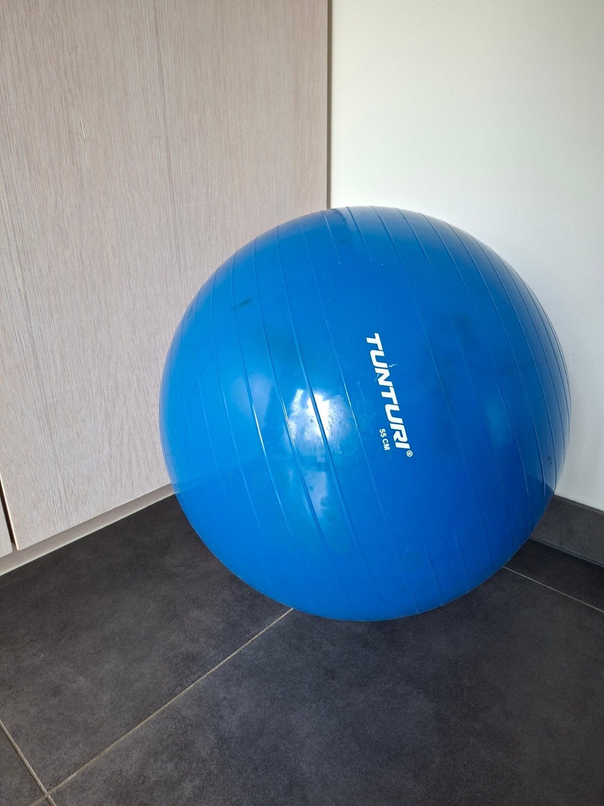 Tunturi bal 55 cm, Enlèvement ou Envoi