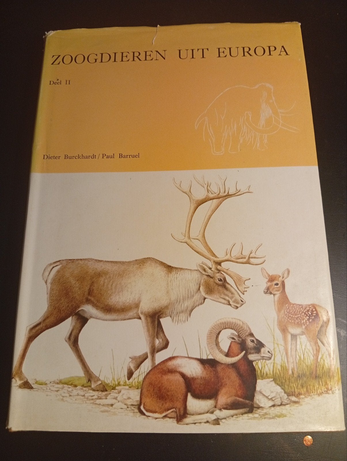 Zoogdieren uit Europa, Livres, Animaux & Animaux domestiques, Enlèvement, Utilisé, Dieter Burckhardt / Paul Barruel