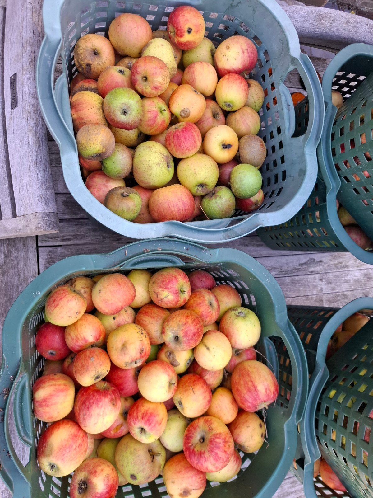 Appels voor appelmoes of appelsap, Divers, Produits alimentaires, Enlèvement