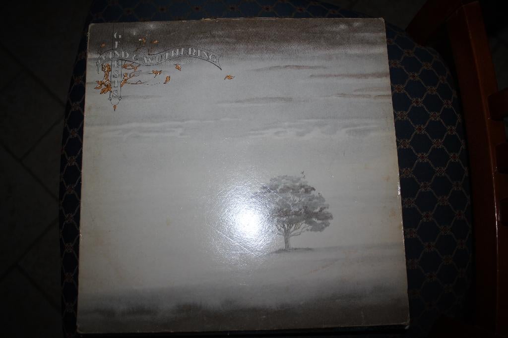 Genesis Wind en Wutering 1976, Verzenden, 1970 - 1979, Gebruikt, 12 inch