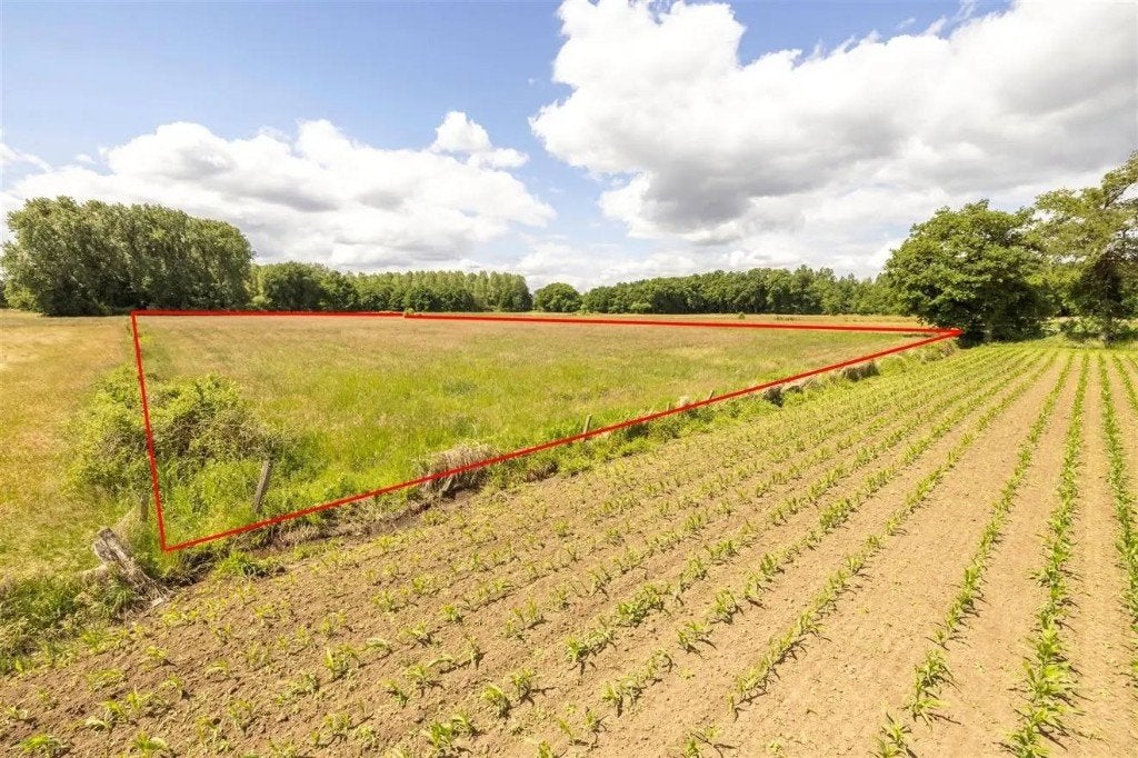 Landbouwgrond te koop, Immo, Heist o/d Berg, 1500 m² of meer