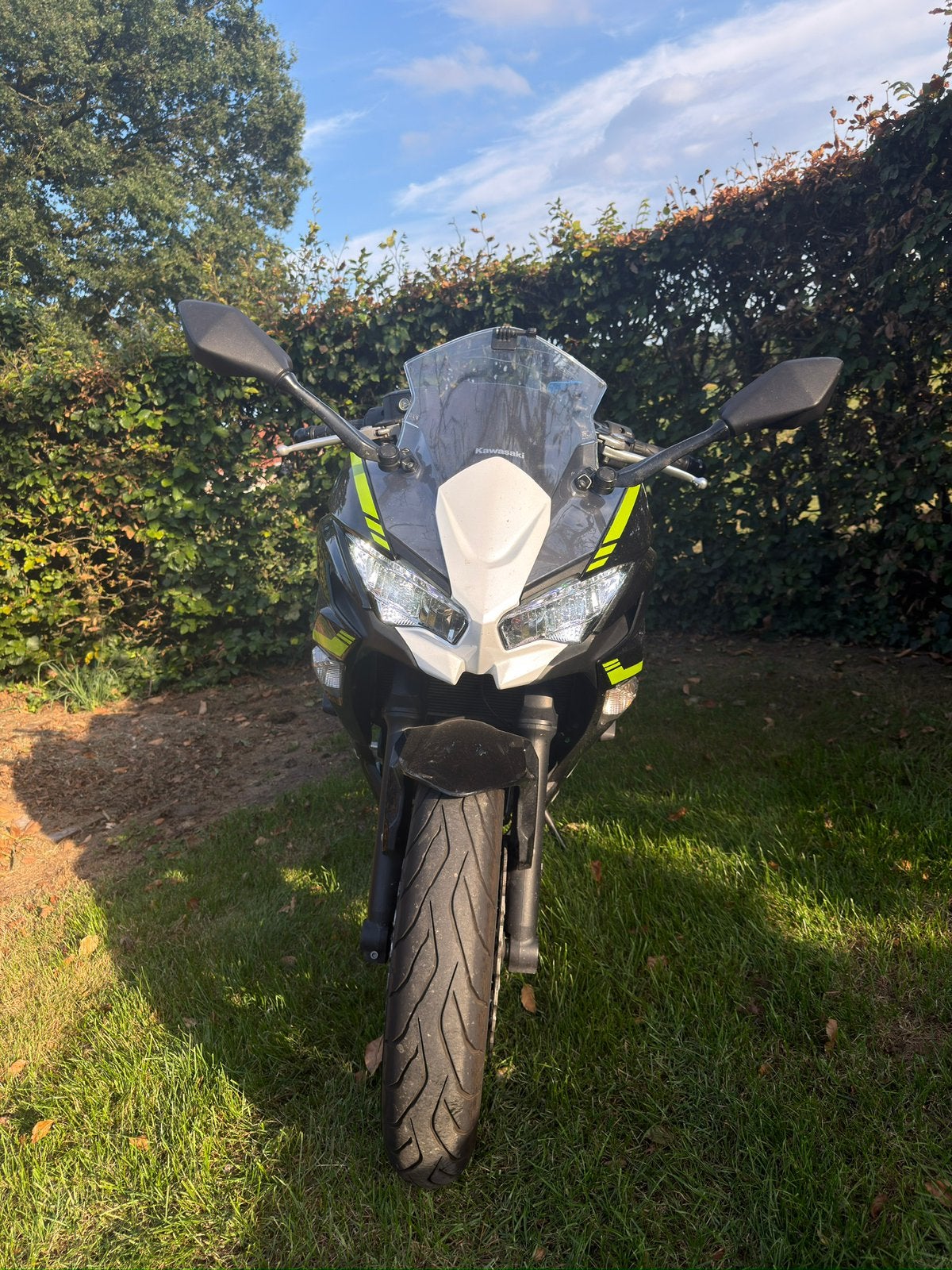Ninja 650, 2 cilinders, Occasion, Super Sport, Particulier