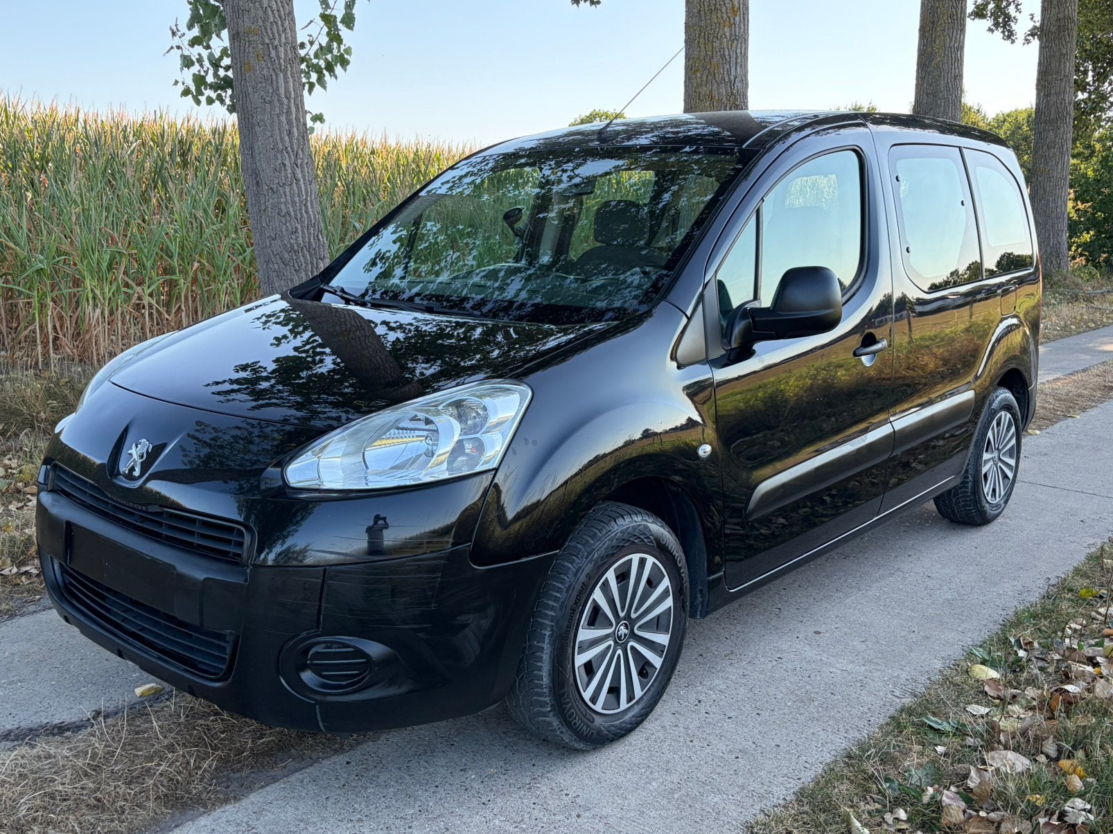 Peugeot Partner 1.6 Benzine Blanco Gekeurd Voor Verkoop, Handgeschakeld, Particulier, Partner Tepee, Euro 5