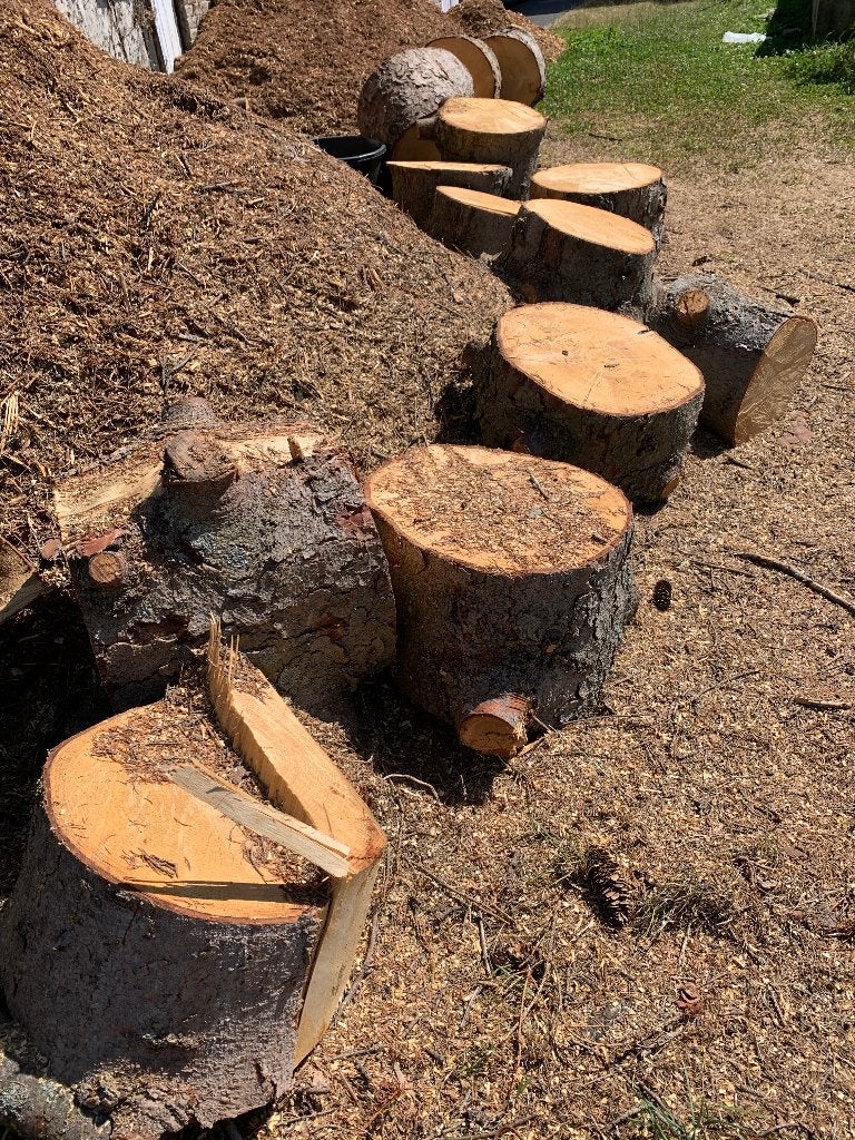 Grosses buches Sapin, Jardin & Terrasse, Enlèvement, Autres essences de bois, Bûches