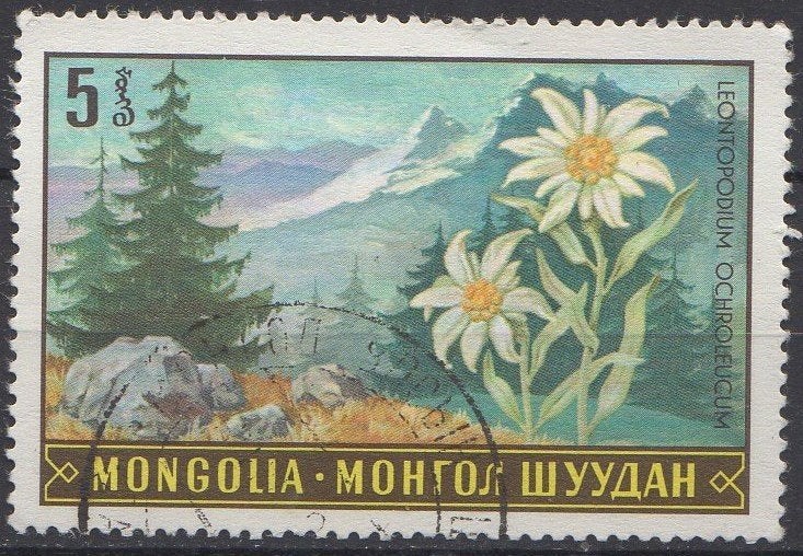 Mongolië - Alpenbloem (edelweiss-soort) - - 1969, Ophalen of Verzenden, Gestempeld