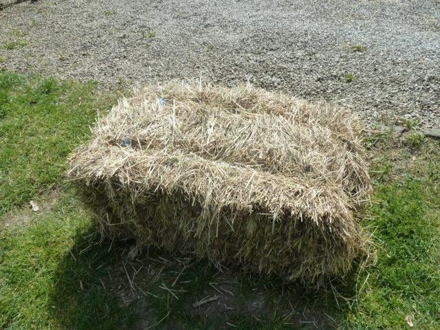 HOOIBALEN voor paard of poney, Dieren en Toebehoren, Ophalen, Overige soorten