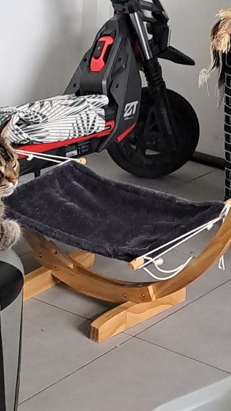 Hamac chat, Animaux & Accessoires, Enlèvement
