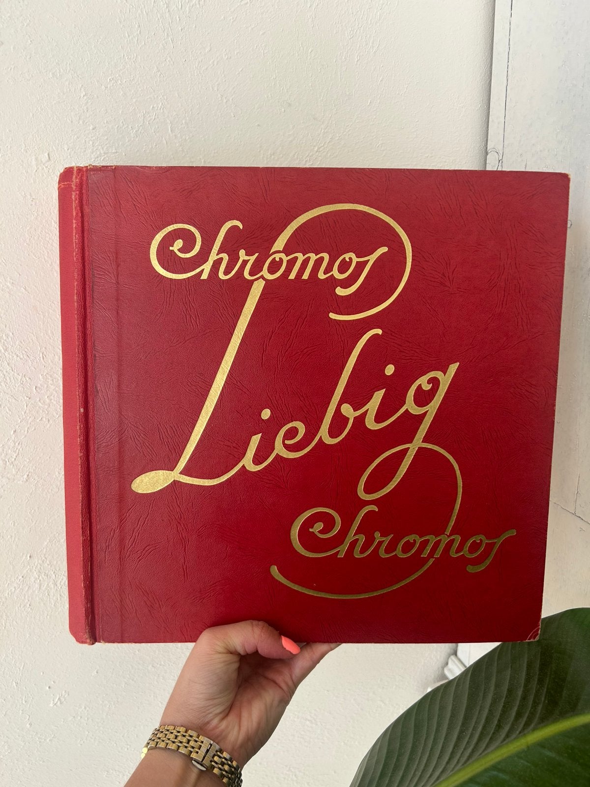 Liebig Chromos – groot verzamelalbum – met originele chromo, Ophalen of Verzenden, Zo goed als nieuw