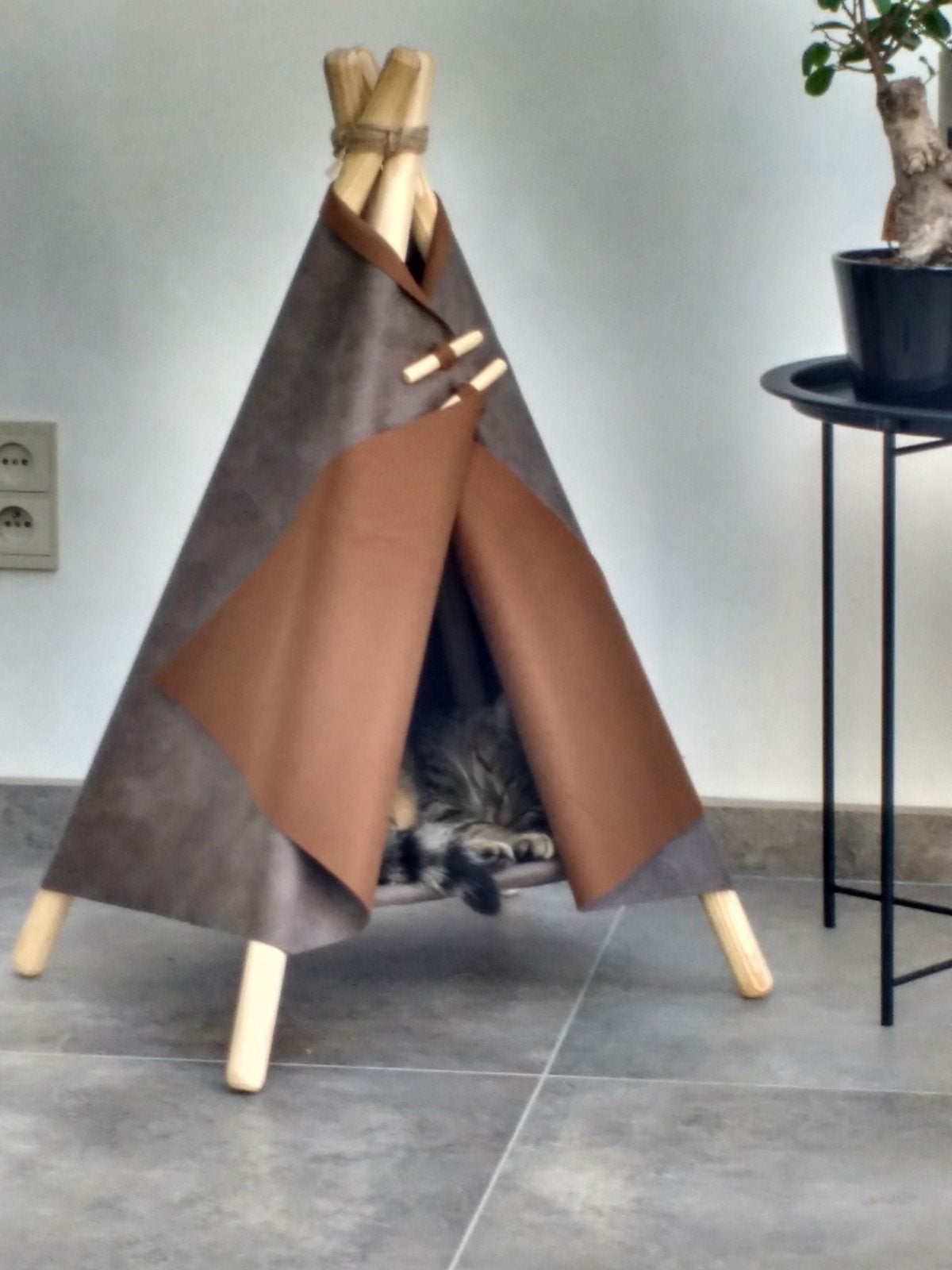 katten mand tent ., Ophalen