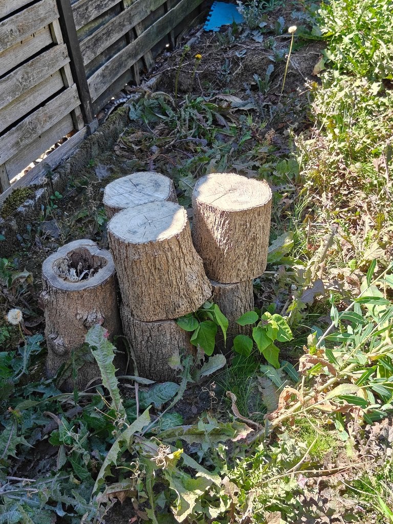 Gratis hout, Tuin en Terras, Ophalen