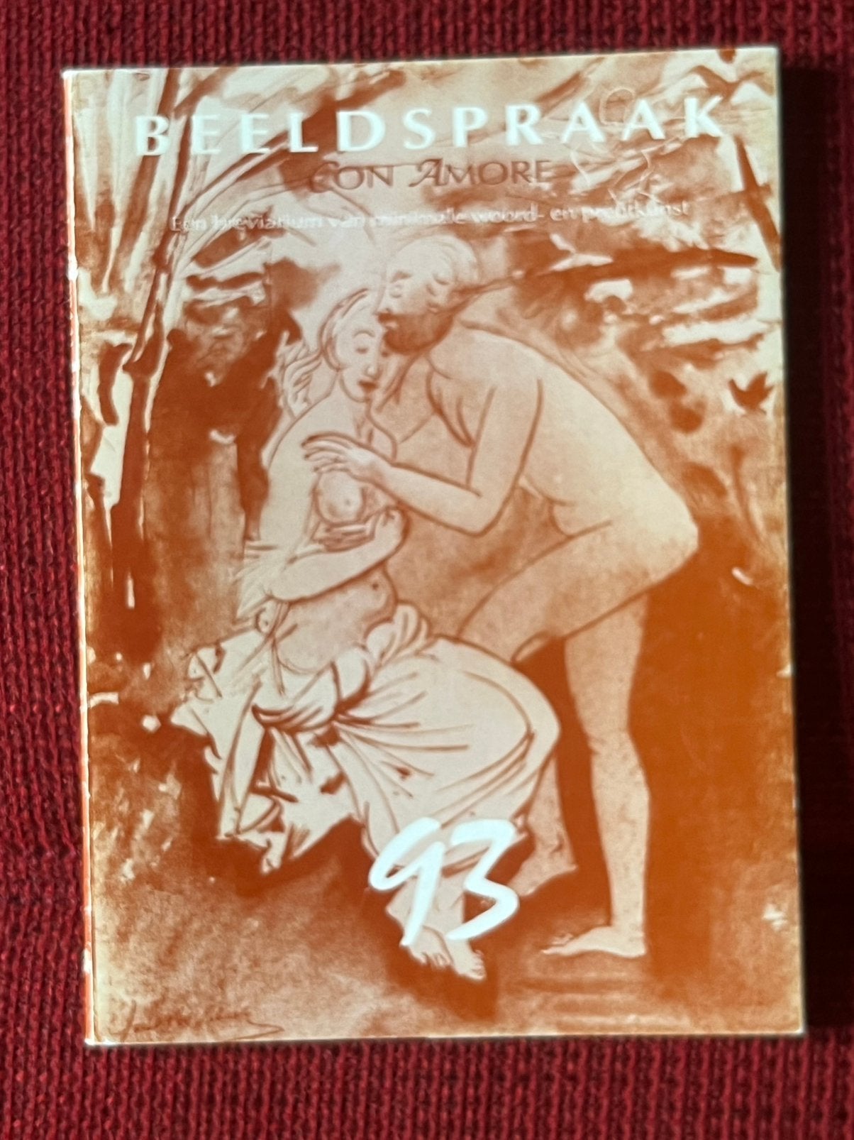 Boek kunst Aalst - Beeldspraak 93 Con Amore, Ophalen of Verzenden, Zo goed als nieuw