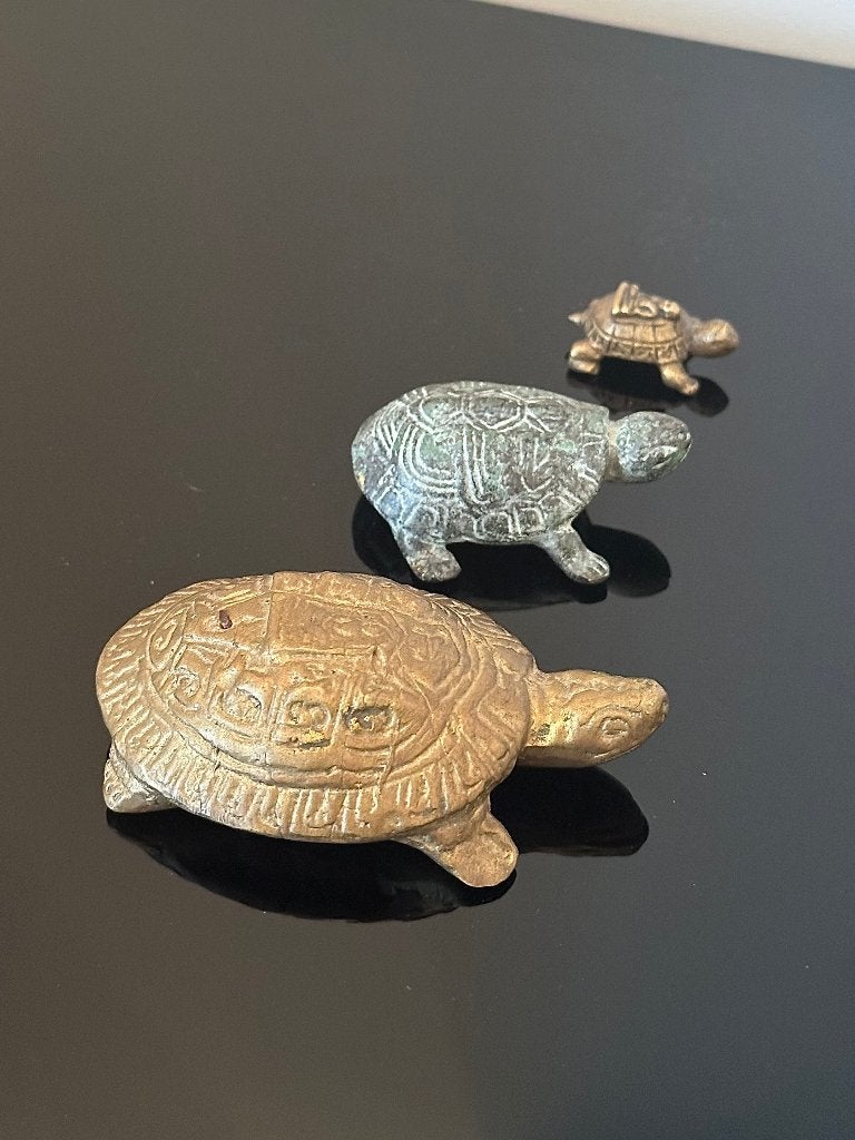 Lot 3 tortues en bronze, Enlèvement, Bronze