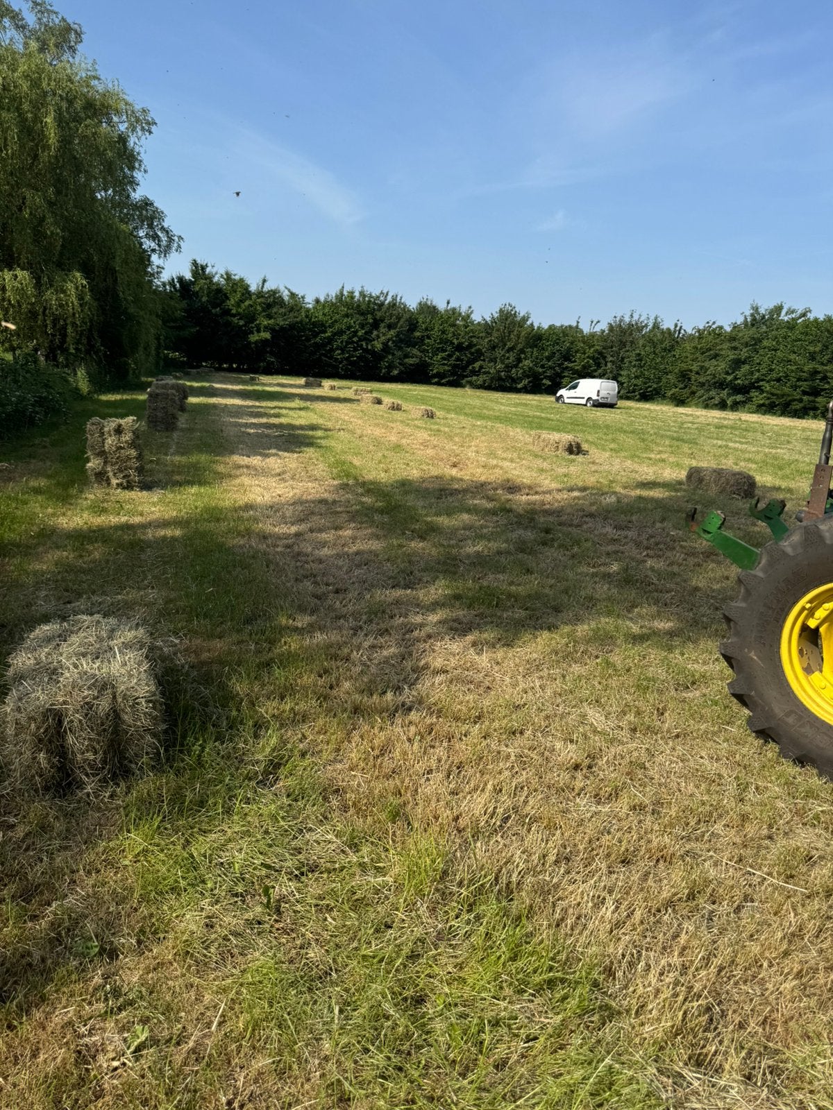 Kleine pakjes hooi, Dieren en Toebehoren
