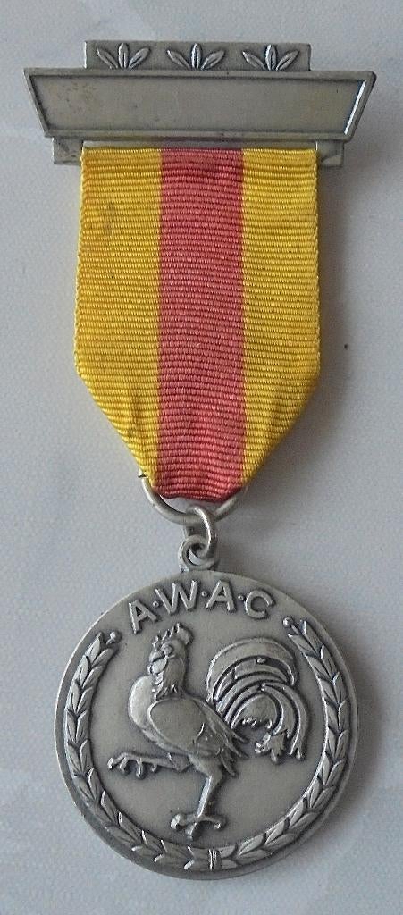 Médaille AWAC (Association Wallonne des Anciens Combattants), Enlèvement ou Envoi, Armée de terre, Ruban, Médaille ou Ailes