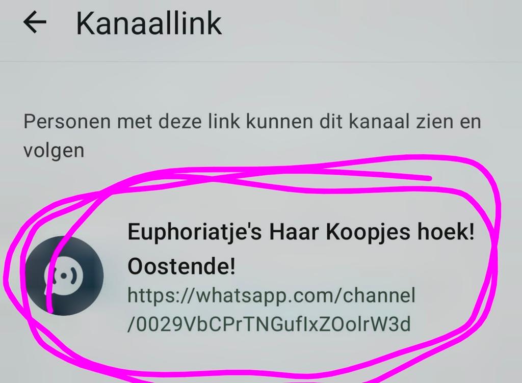 Whattsapp kanaal kopen in Oostende