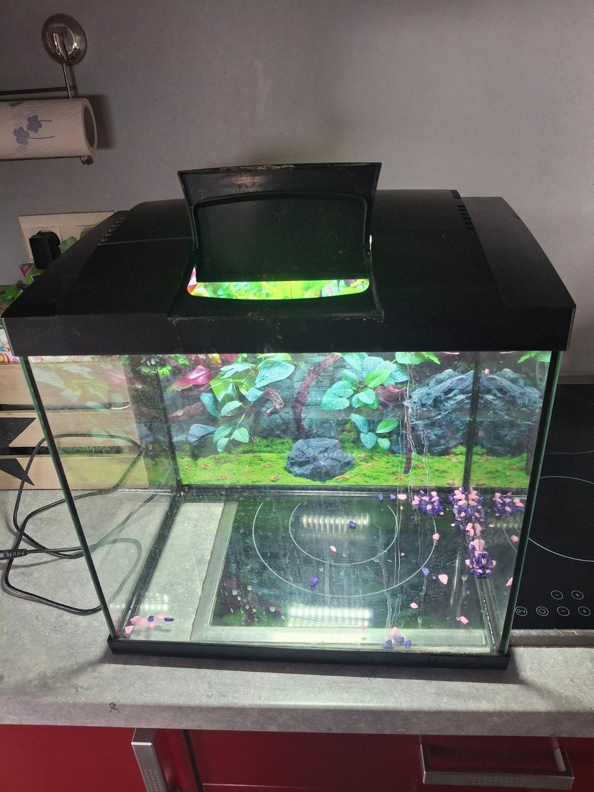 Visbak superfish 25 l met ingebouwde lamp, Ophalen, Superfish
