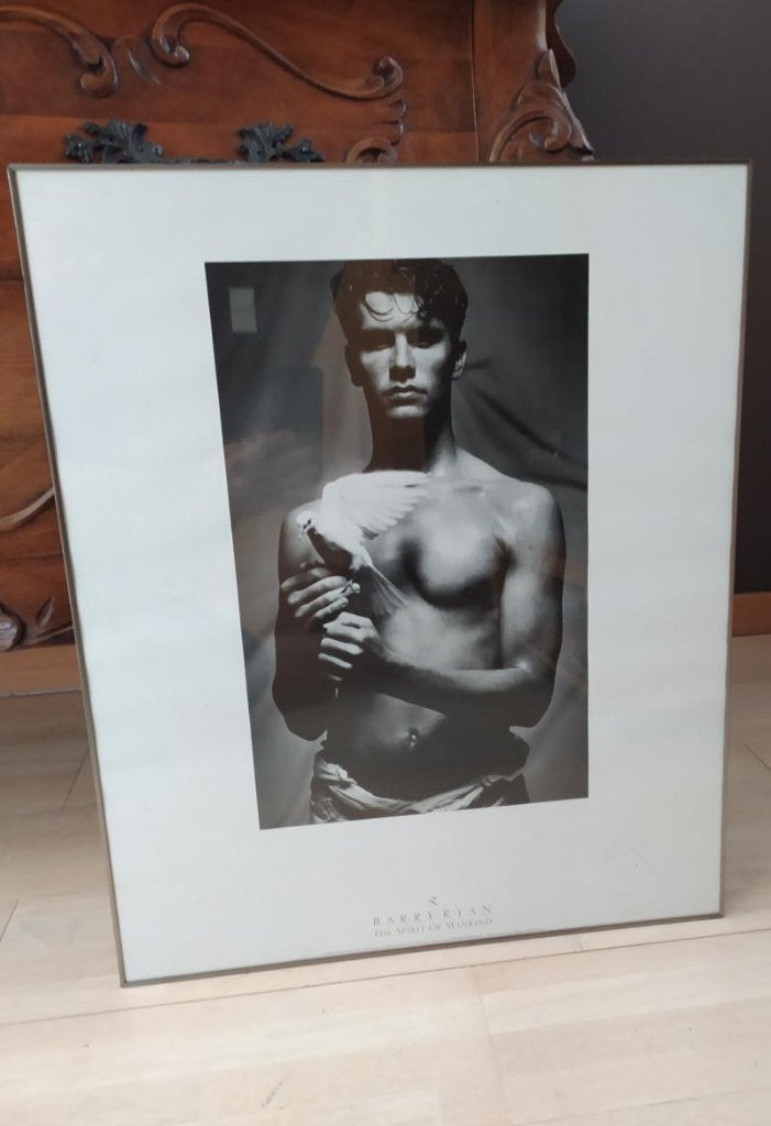 Athena poster - The Spirit of Mankind (Barry Ryan), Ophalen