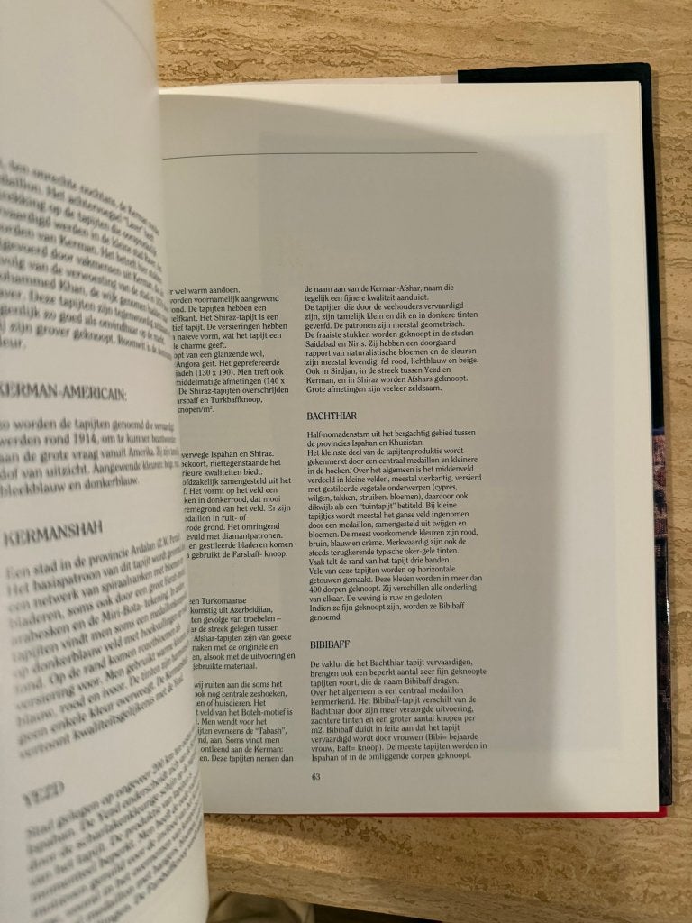 Het Perzisch tapijt - Pierre-Paul Heylen, Livres, Art & Culture | Arts plastiques, Enlèvement ou Envoi, Utilisé, Autres sujets/thèmes