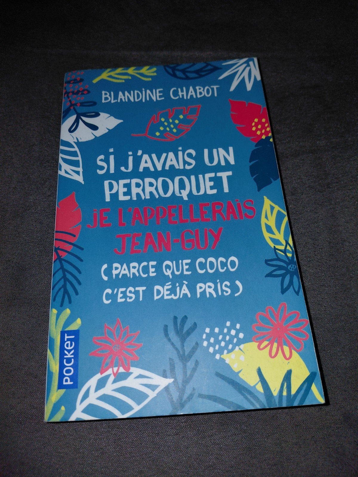 livre si j'avais un perroquet je l'appellerais Jean-Guy, Livres, Enlèvement
