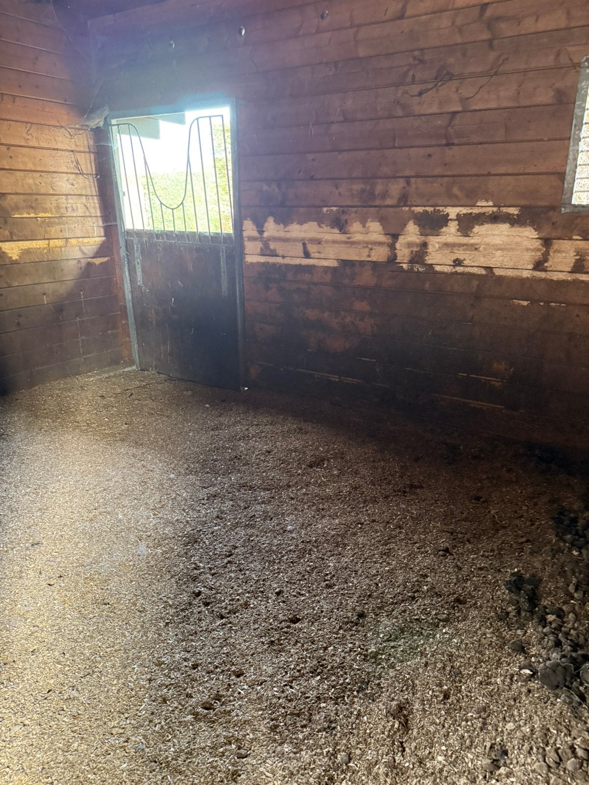 Prachtige paardenstal, Dieren en Toebehoren, Stalling, 2 of 3 paarden of pony's
