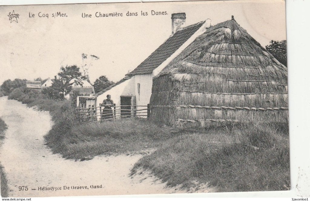 De Haan, Coq sur mer, Ophalen of Verzenden
