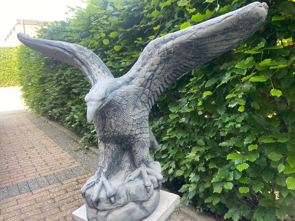 Adelaar 90x70cm, Tuin en Terras, Ophalen, Nieuw, Beton, Dierenbeeld