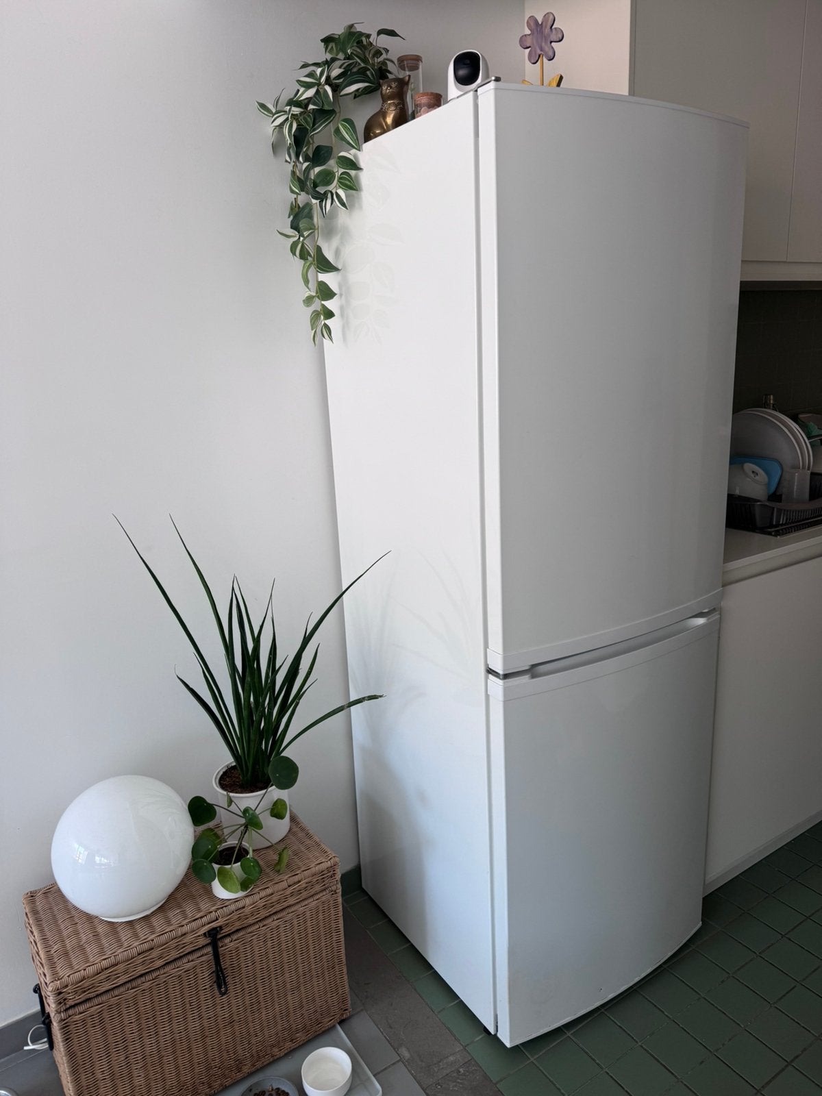GRATIS Ikea Lagan koelkast + vriez 10 jaar oud te Hasselt, Ophalen, Gebruikt, 200 liter of meer, 160 cm of meer